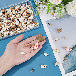 140Pcs 14 Styles Natural Mixed Shell Pendants&nbsp;PALLOY-ME00021