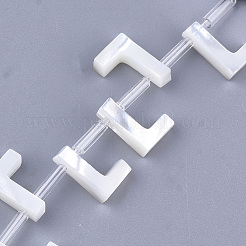 Natural Sea Shell Beads&nbsp;SHEL-T012-60L