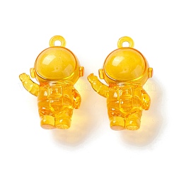 Transparent Acrylic Pendants&nbsp;TACR-K002-06