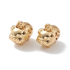 Rack Plating Brass Charms&nbsp;KK-P231-03G