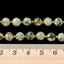 Natural Rhyolite Jasper Beads Strands&nbsp;G-K389-B87-01