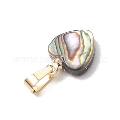 Natural Paua Shell Pendants&nbsp;PALLOY-JF05164
