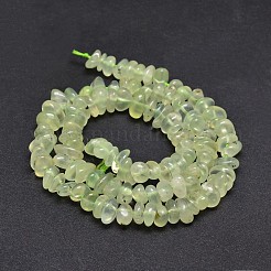 Natural Prehnite Chip Beads Strands&nbsp;X-G-E271-99