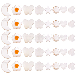 160Pcs 8 Styles Natural Freshwater Shell Beads Strands&nbsp;SHEL-TA0001-08