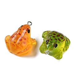 Luminous Transparent Resin Pendants&nbsp;RESI-F077-01P