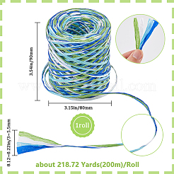 Raffia Paper Cords&nbsp;OCOR-WH20015-04A
