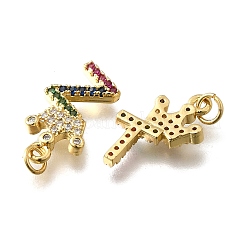 26Pcs Brass Micro Pave Cubic Zirconia Pendants&nbsp;KK-R218-09G