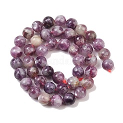 Natural Lepidolite/Purple Mica Stone Beads Strands&nbsp;G-G160-A01-01A