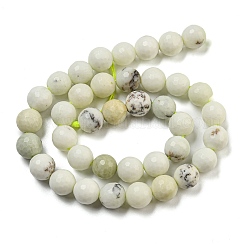 Natural Dendritic Jasper Beads Strands&nbsp;G-E571-A05-03