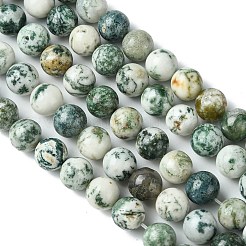 Natural Tree Agate Round Gemstone Beads Strands&nbsp;G-R255-10mm
