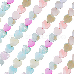 2 Strands Macaron Color Natural Shell Beads Strands&nbsp;SHEL-SC0001-88C