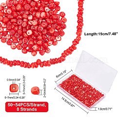 8 Strands Natural Freshwater Shell Beads Strands&nbsp;SHEL-FH0001-17