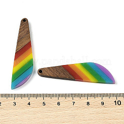 Pride Rainbow Theme Resin & Walnut Wood Pendants&nbsp;WOOD-K012-12B
