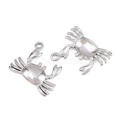 304 Stainless Steel Pendants&nbsp;STAS-L317-23P