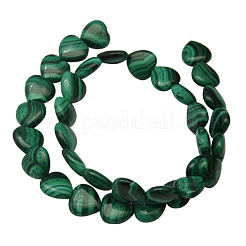 Natural Malachite Gemstone Beads Strands&nbsp;X-MALA-12X12-1