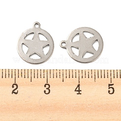 Non-Tarnish 201 Stainless Steel Charms&nbsp;STAS-Z049-02P