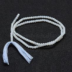 Natural Blue Chalcedony Bead Strands&nbsp;G-P270-2mm-01
