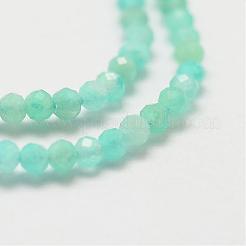 Natural Amazonite Bead Strands&nbsp;G-P270-2mm-24
