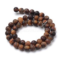 Natural Tiger Eye Round Bead Strands&nbsp;G-T055-4mm-04