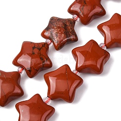 Natural Red Jasper Beads Strands&nbsp;G-K359-E04