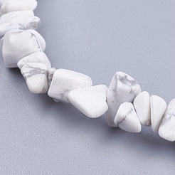 Natural Howlite Stone Bead Strands&nbsp;G-R192-15
