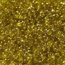 Spray Painted Glass Seed Beads&nbsp;SEED-F005-04A-03