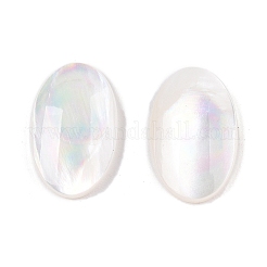 Natural White Shell Cabochons&nbsp;SSHEL-T017-06