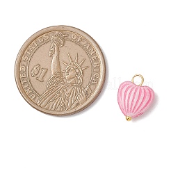 Craft Style Acrylic Pendants&nbsp;PALLOY-JF04253-01
