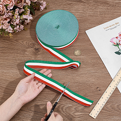 Polyester Braid Ribbon&nbsp;OCOR-WH0816-012A-1