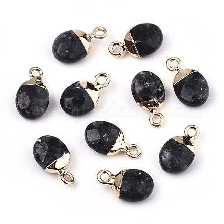 Natural Larvikite Charms&nbsp;G-N326-58A-1