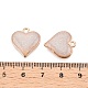 Alloy Enamel Pendants&nbsp;PALLOY-TAC0012-58B-RS-3