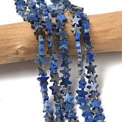 Natural Lapis Lazuli Beads Strands, Star, 6x6x2mm, Hole: 0.7mm, about 72pcs/strand, 14.96''(38cm)