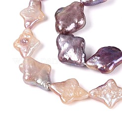 Natural Baroque Keshi Pearl Beads Strands&nbsp;PEAR-S022-01B