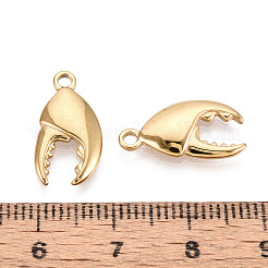 304 Stainless Steel Pendants&nbsp;STAS-T067-100G