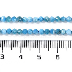 Natural Apatite Beads Strands&nbsp;X-G-P542-A06-02