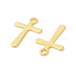 304 Stainless Steel Charms&nbsp;STAS-I350-08G