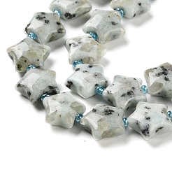 Natural Sesame Jasper/Kiwi Jasper Beads Strands&nbsp;G-NH0005-018