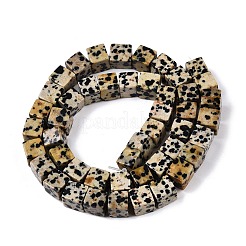 Natural Dalmatian Jasper Beads Strands&nbsp;G-T139-8x8-17A