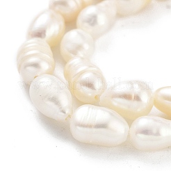 Natural Keshi Pearl Cultured Freshwater Pearl Beads Strands&nbsp;PEAR-P062-34