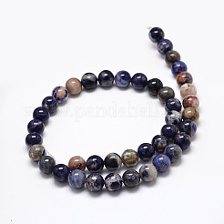 Natural Sodalite Round Beads Strands&nbsp;G-P075-01-8mm
