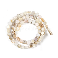 Natural Freshwater Shell  Beads Strands&nbsp;BSHE-H109-11