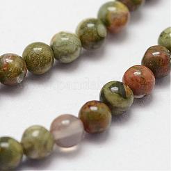 Natural Rhyolite Jasper Beads Strands&nbsp;G-N0183-01-2mm