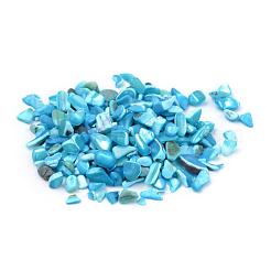 Natural Sea Shell Beads&nbsp;SSHEL-Q299-017A
