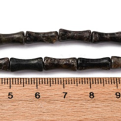 Natural Biotite Beads Strands&nbsp;G-L624-G09-12x5mm