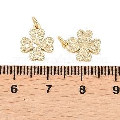 Brass Charms&nbsp;KK-Z146-09D-G