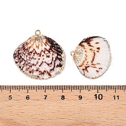 Electroplated Edge Natural Sea Shell Pendants&nbsp;SSHEL-N038-19