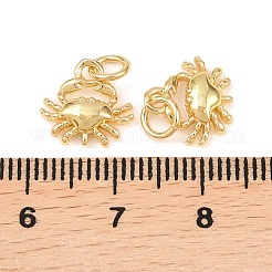 Brass Charms&nbsp;KK-G549-17C-G