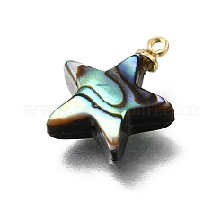 Natural Abalone Shell Pendants&nbsp;SH-CJC0AC7-01D-G