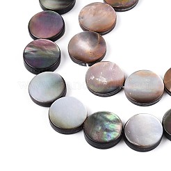 Natural Sea Shell Beads Strands&nbsp;SSHEL-D084-13A