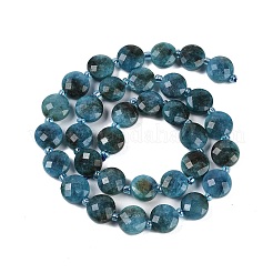 Natural Apatite Beads Strands&nbsp;G-B094-A27-01